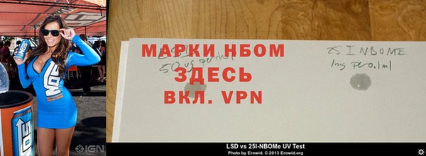 индика Пестово