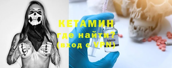 индика Пестово