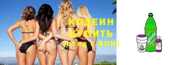 индика Пестово