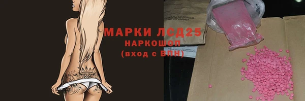 индика Пестово