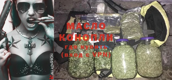 индика Пестово
