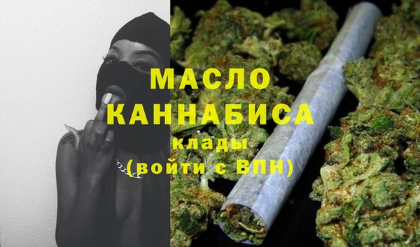 индика Пестово