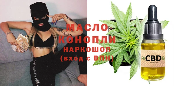 индика Пестово