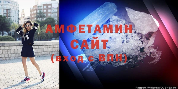 индика Пестово