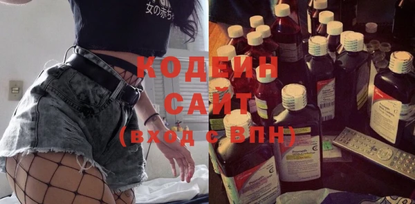 индика Пестово