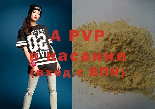 индика Пестово