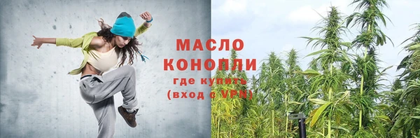 индика Пестово