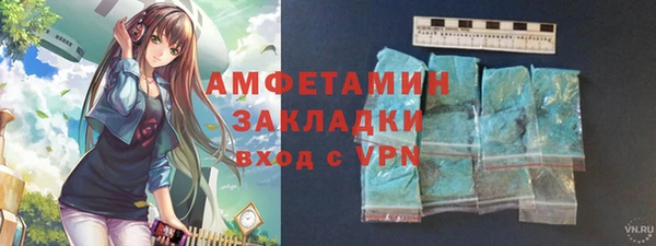 индика Пестово