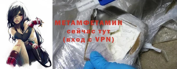 индика Пестово